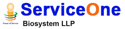 logo-img